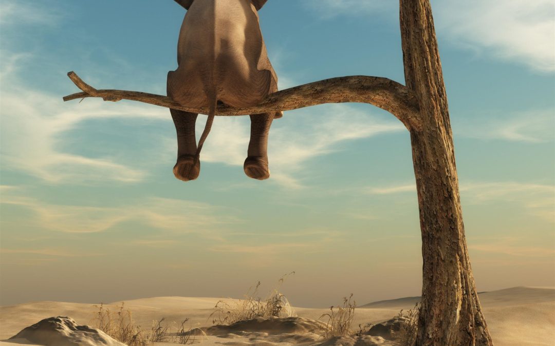 Haut potentiel : à quoi veiller avant de “se faire tester” ?
