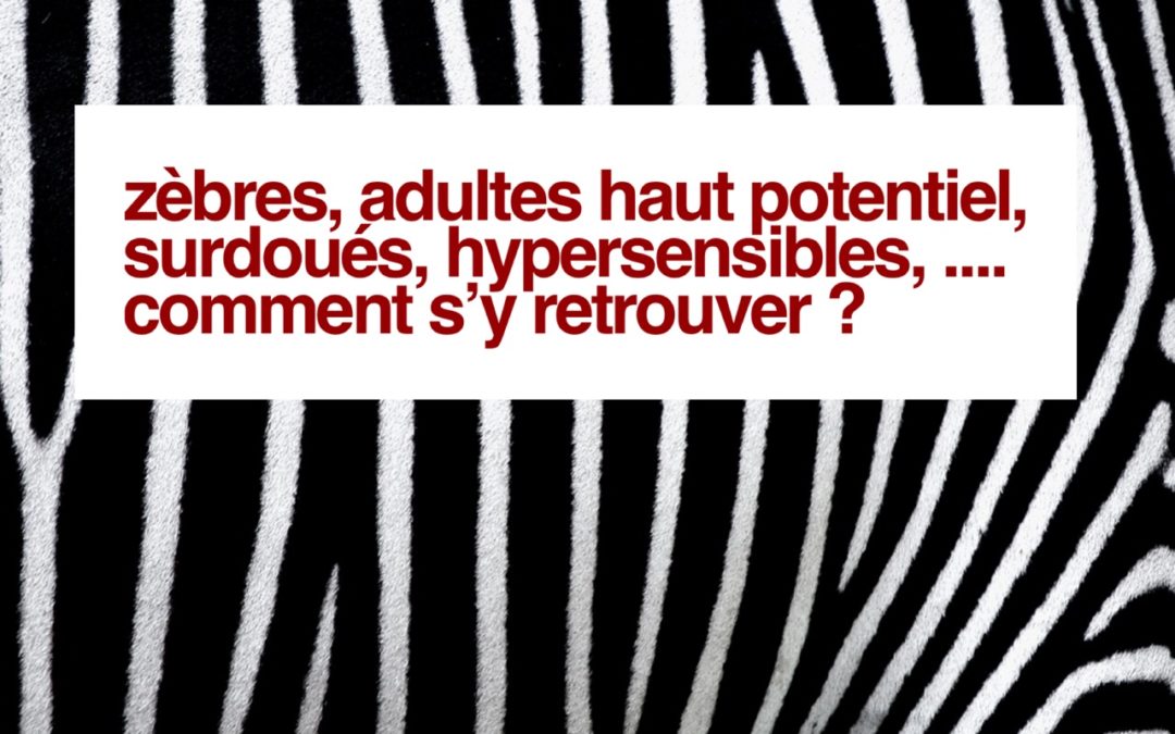 Zèbres, adultes haut potentiel, surdoués, hypersensibles, multi-potentiels… comment s’y retrouver ?
